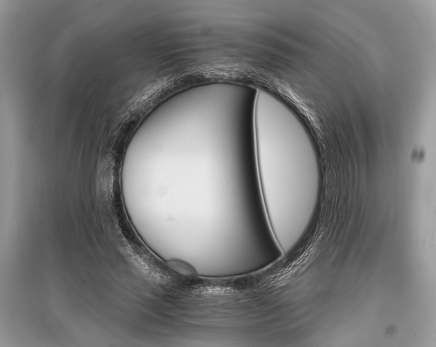 X0000096380637200801241004