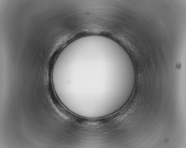 X0000096380638200801241004