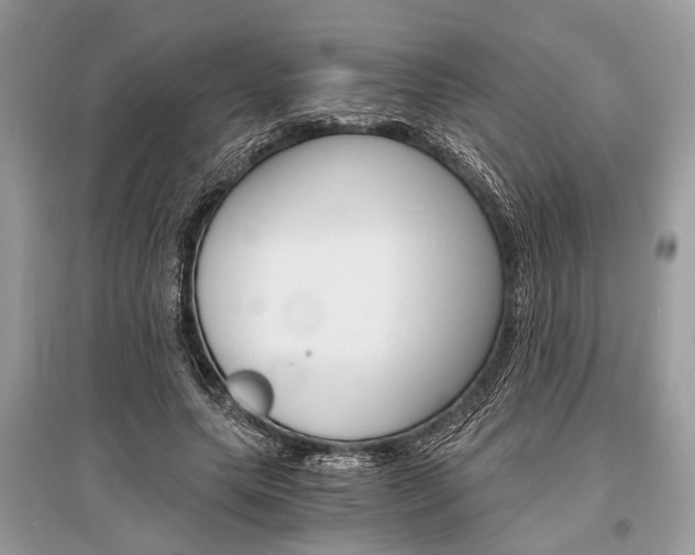 X0000096380639200801241004