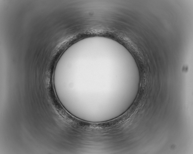 X0000096380640200801241004