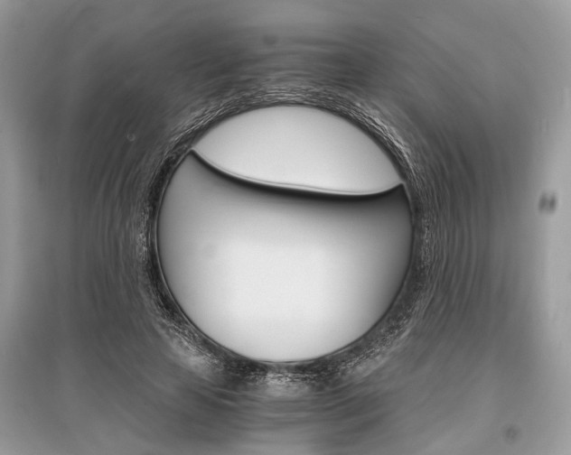 X0000096380641200801241004