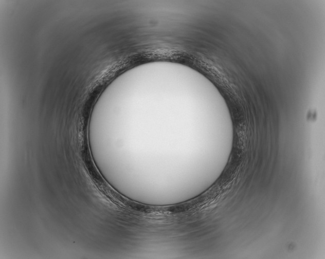 X0000096380642200801241004