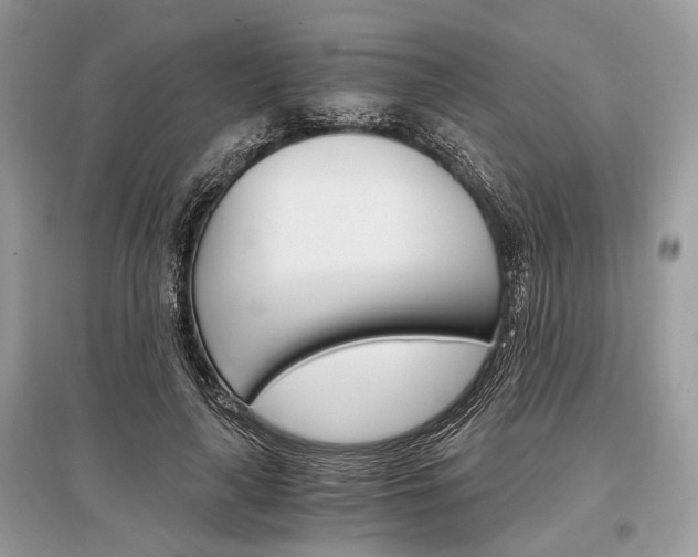 X0000096380643200801241004