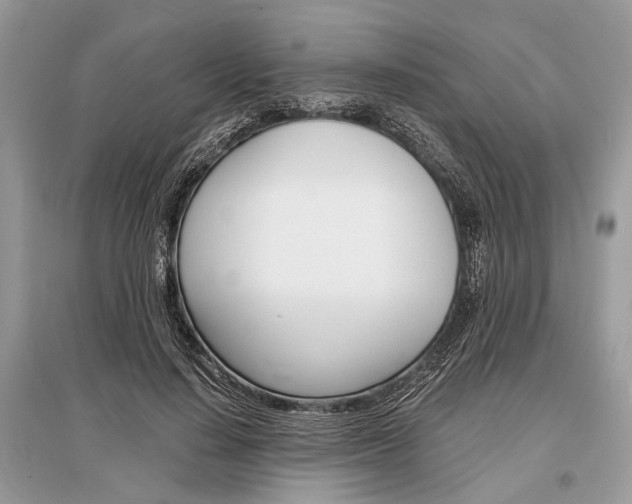 X0000096380644200801241004