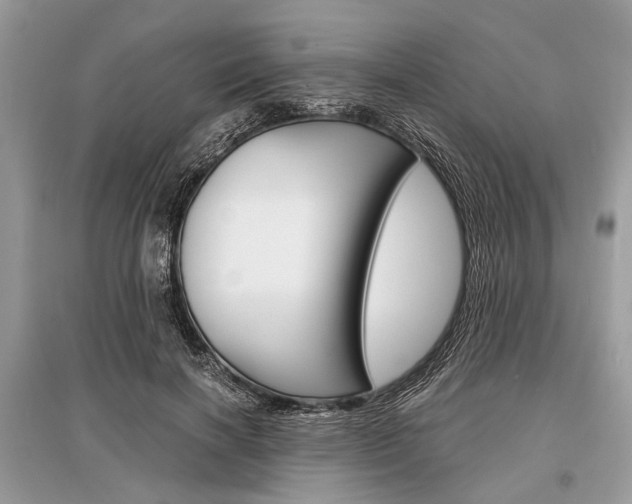 X0000096380646200801241004