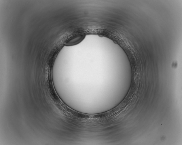 X0000096380647200801241004