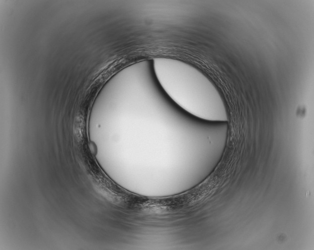 X0000096380648200801241004