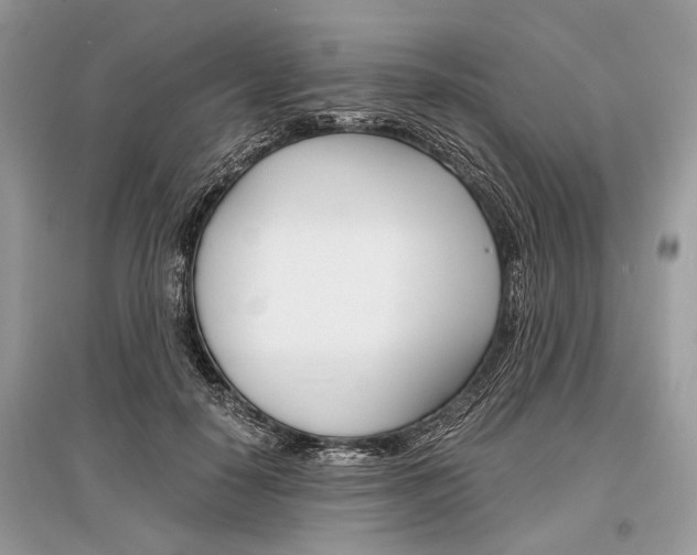 X0000096380650200801241004