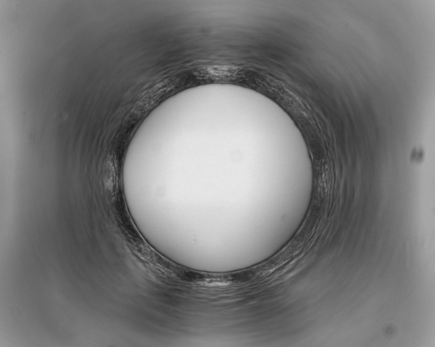 X0000096380651200801241004