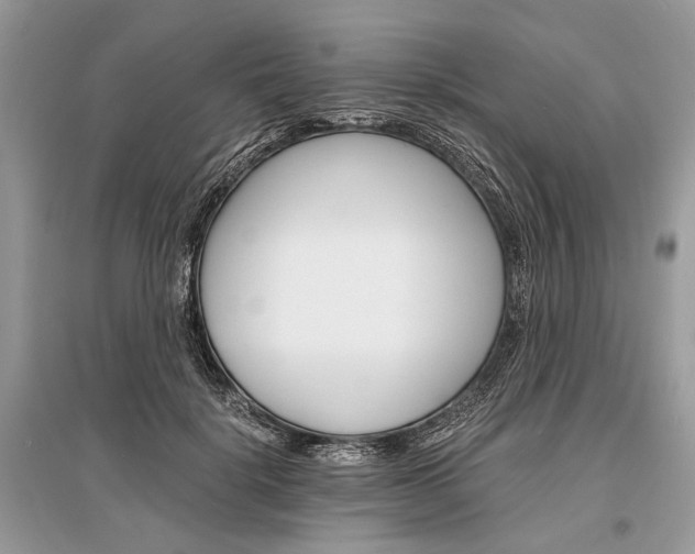X0000096380652200801241004