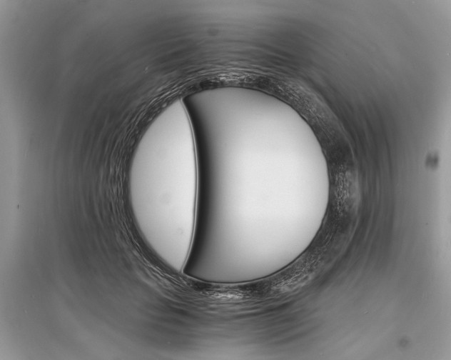 X0000096380653200801241004