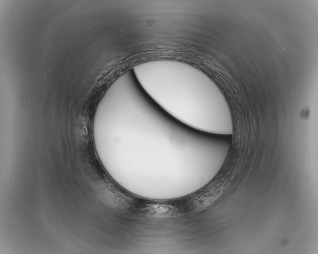 X0000096380654200801241004