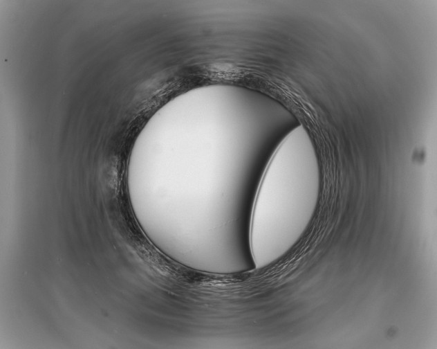 X0000096380655200801241004