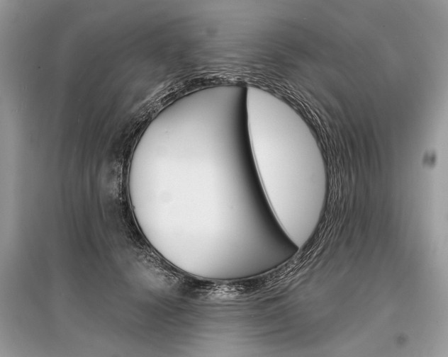 X0000096380656200801241004