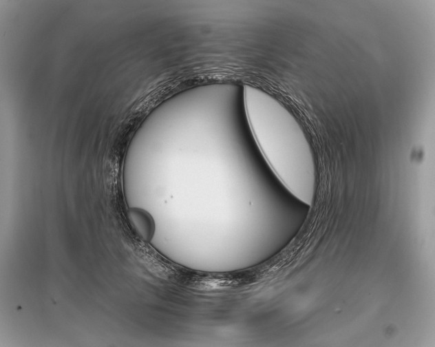 X0000096380657200801241004