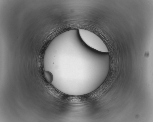 X0000096380658200801241004
