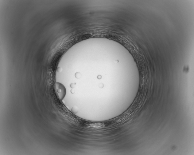 X0000096380659200801241004