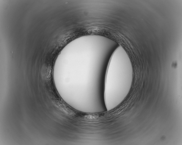 X0000096380660200801241004