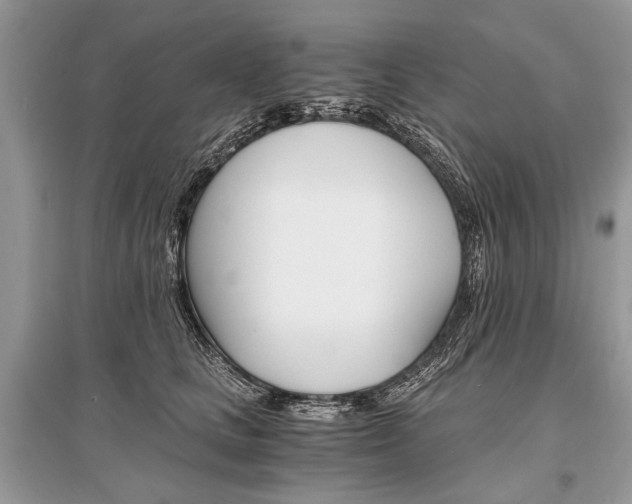 X0000096380661200801241004