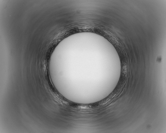 X0000096380662200801241004