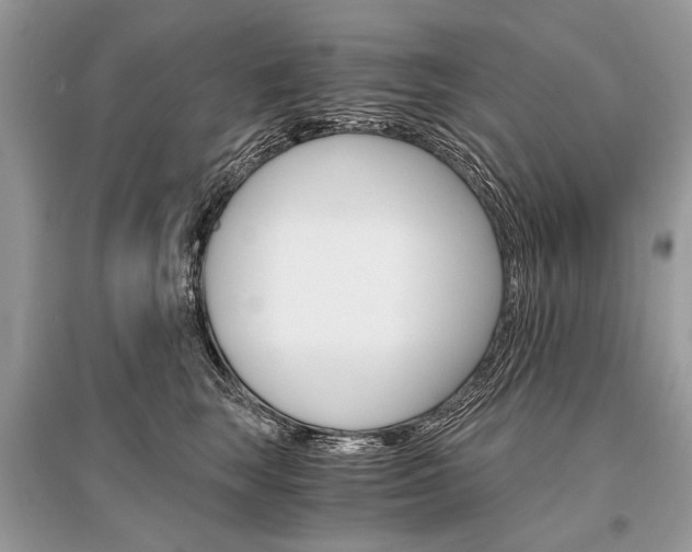 X0000096380663200801241004