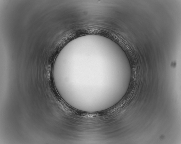 X0000096380664200801241004