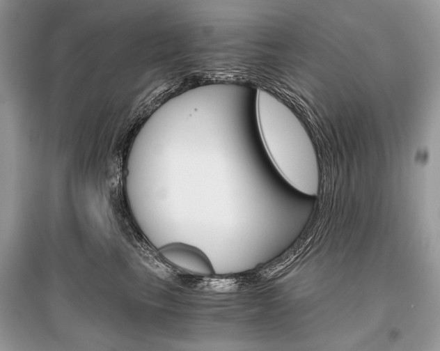 X0000096380665200801241004
