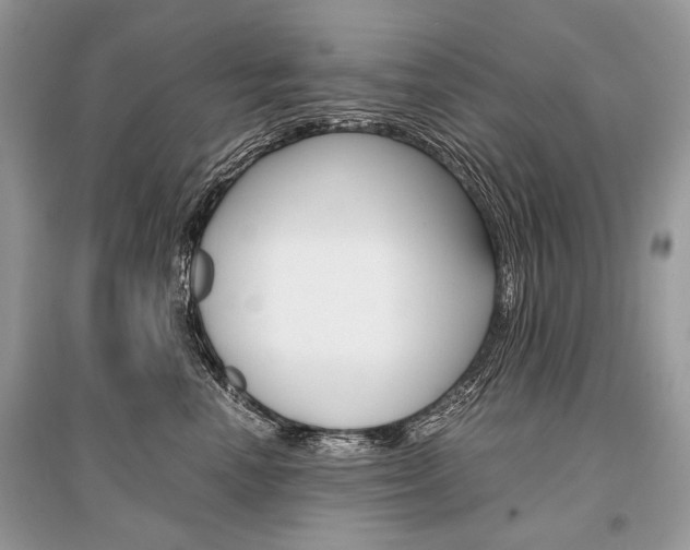 X0000096380666200801241004