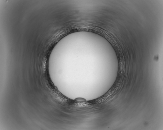 X0000096380668200801241005