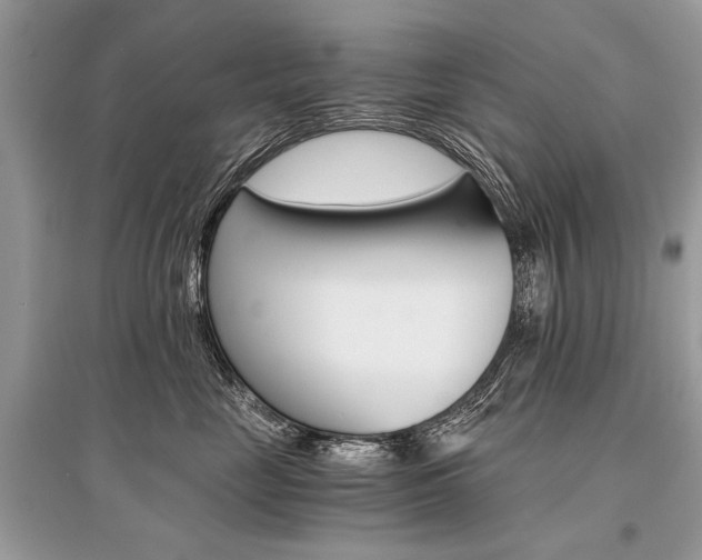 X0000096380669200801241005