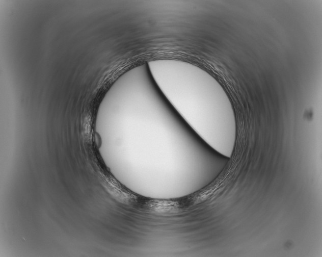 X0000096380670200801241005