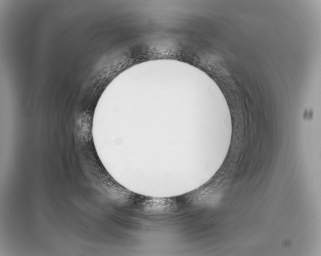 X0000096380672200801241005