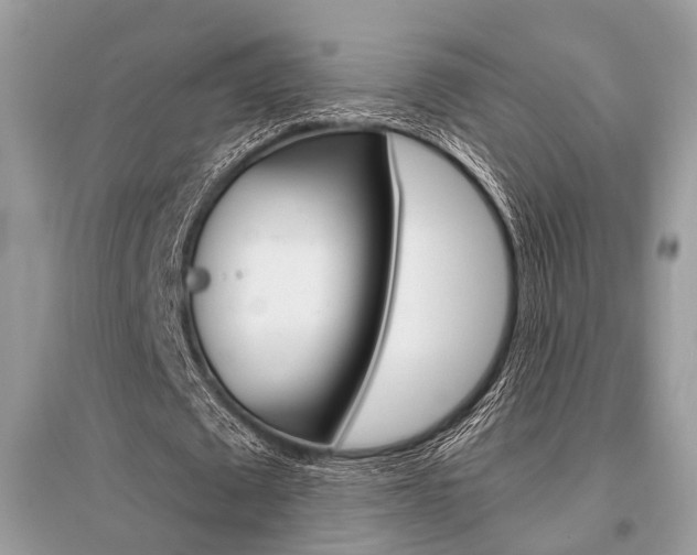 X0000096380673200801241004