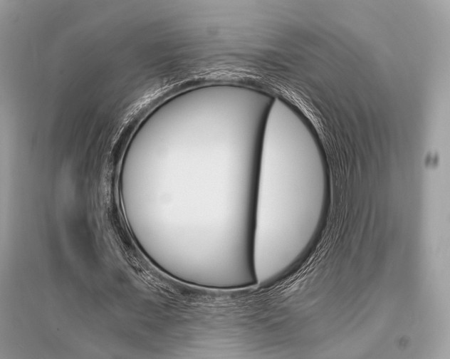 X0000096380675200801241004