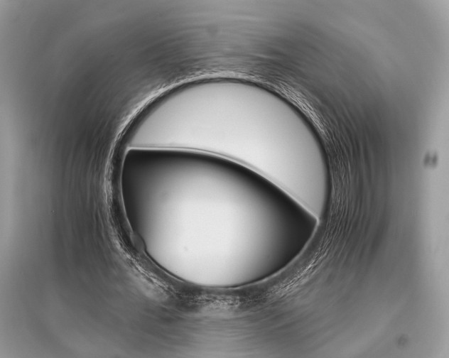 X0000096380676200801241004