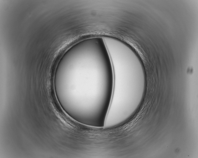 X0000096380677200801241004
