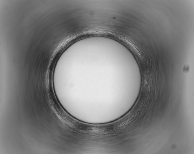 X0000096380678200801241004