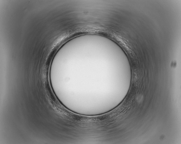 X0000096380679200801241004