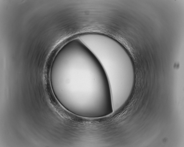 X0000096380680200801241004
