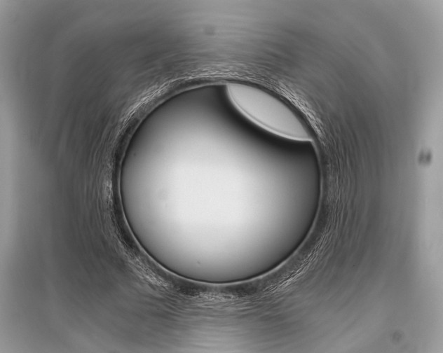 X0000096380681200801241004