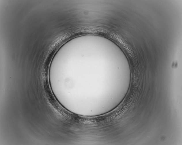 X0000096380683200801241004