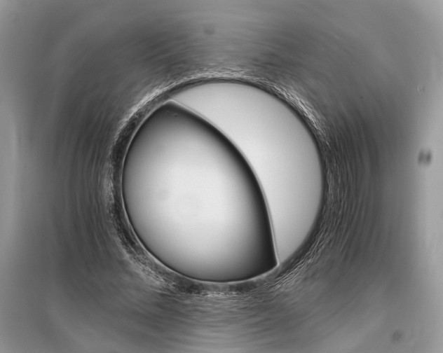 X0000096380684200801241004