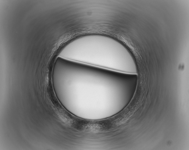 X0000096380685200801241004
