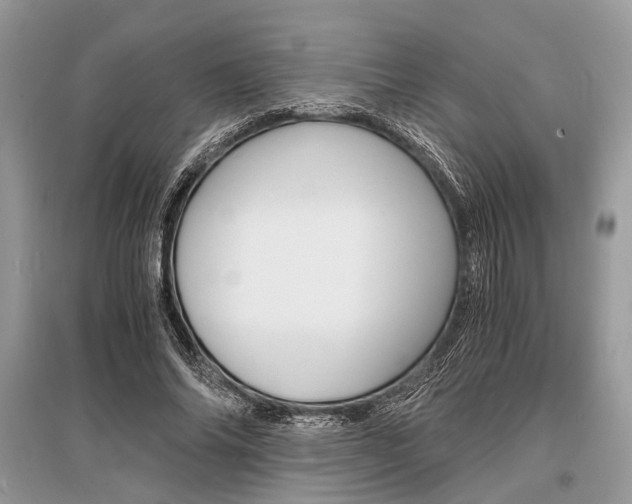 X0000096380686200801241004