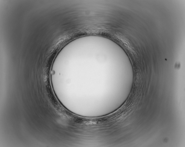 X0000096380687200801241004