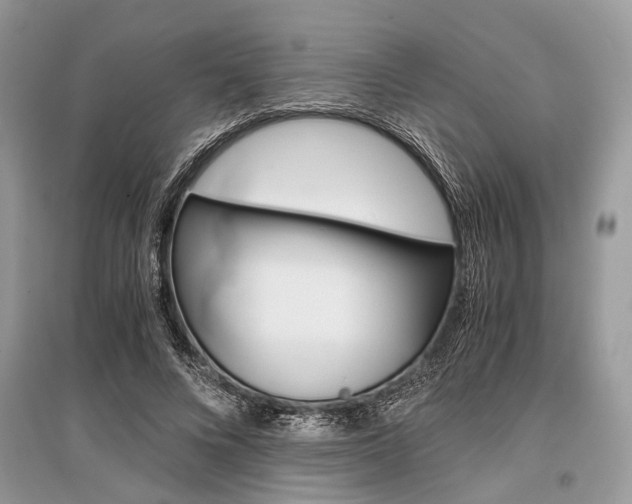 X0000096380688200801241004