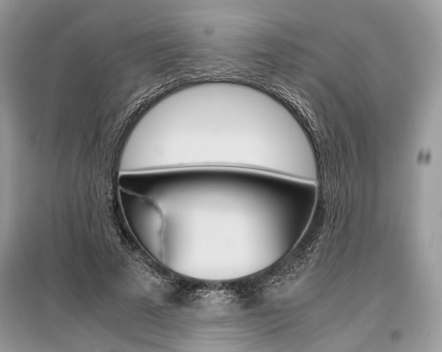 X0000096380689200801241004