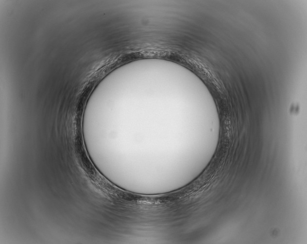 X0000096380690200801241004