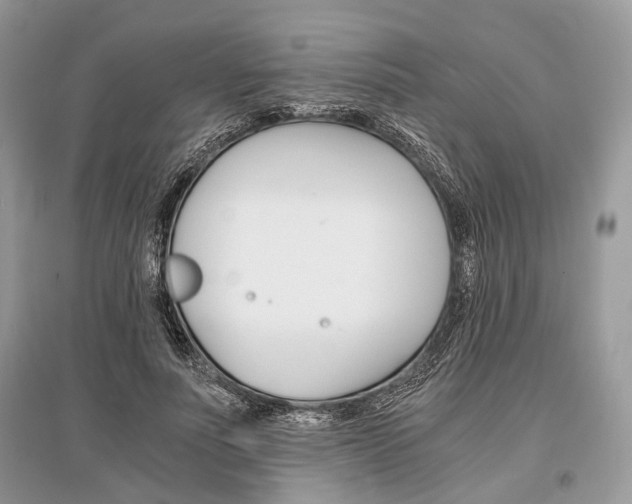 X0000096380691200801241003