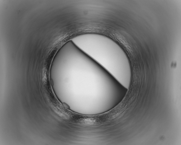 X0000096380692200801241003